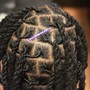 Starter Locs