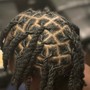 Starter Locs