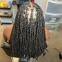 Soft Locs Touch Up - Front Only