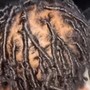 Starter Dreadlocks