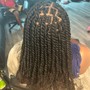 2 strand twists (Natural hair)