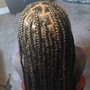 Double Dutch Sticth Braids