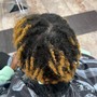 Loc Retwist