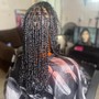 Two Strand Twist