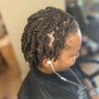 2 -6 Feed In Braids