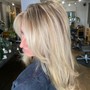 Partial Highlights| Balayage