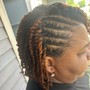 Slick back Braided Ponytail