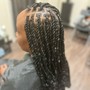 Senegalese Twist Medium