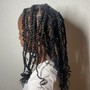 Box Braids (M)