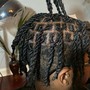 Starter Locs