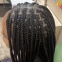 Small Knotless box braids