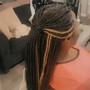 Box Braids