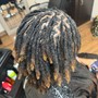 Loc Maintenance / Retwist