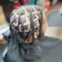 Plaits/ Box Braids (full head)