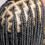 Knotless Braids large