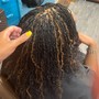 Root Touch Up