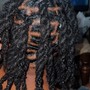 Starter Locs