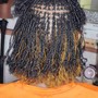 Natural two strand twist with extension/passion/kinky