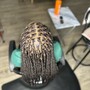 Marley twist braids