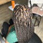 Medium Box Braids