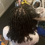 Root Touch Up