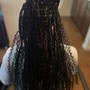 Medium Box Braids