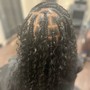 Root Touch Up