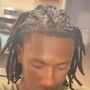 Starter Locs