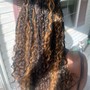 medium senegalese twists