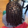 Kid's Box Braids (hair added)