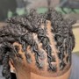 Loc Maintenance wash and retwist