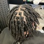 Root Touch Up