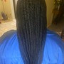 Box Braids over locs