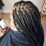 Box Braids medium