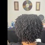 Sisterlocks Establishment Consultation