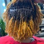 Past Due Sisterlocks TM/ Microlocs Retie