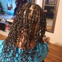 Loc Coils or Two-Stand Twist - Starter Locs