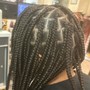 Poetic Justice Braids