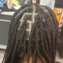 Poetic Justice Braids