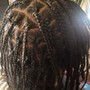 Loc retwist