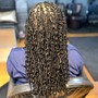 Distressed Locs Retouch