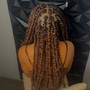 Butterfly Locs (Butt length)