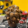 Bantu Knots