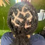 Tree Braids