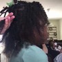 Wig/Sew-In Braids