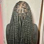 Starter Dreadlocks