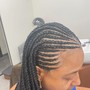 Starter Locs