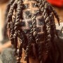 Starter locs