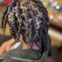 Loc retwist