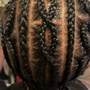 Individual Braids